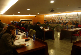 El Pleno del Patronato aprueba el plan de actuaci�n 2013