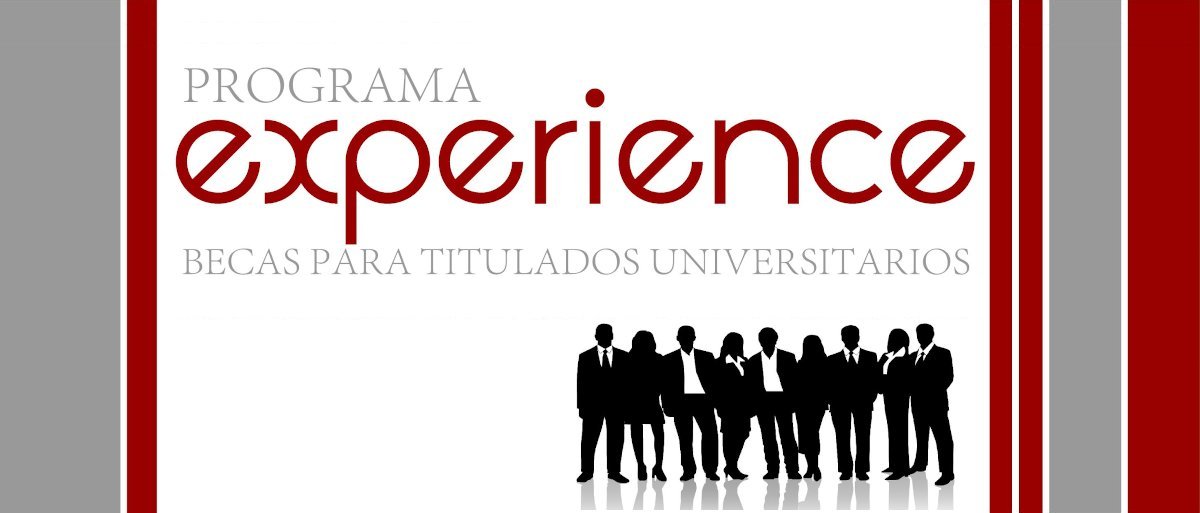 Graduate Scholarship Experience Programme